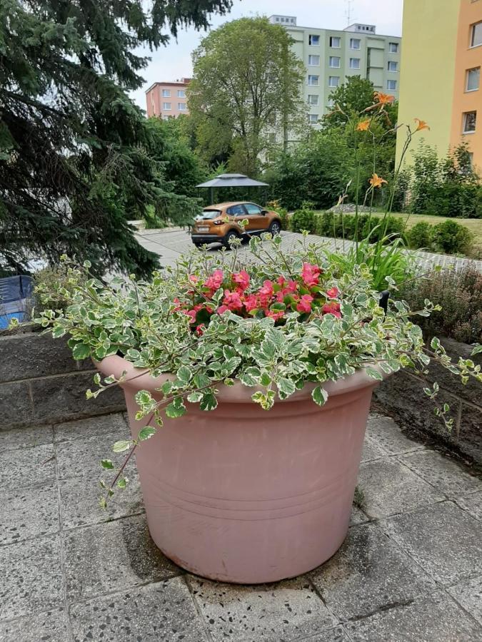 Kvetinovy Apartman A3B V Chomutove Eksteriør billede
